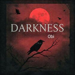 Cover of Darkness