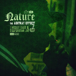 Cover of The Ashtray Effect
