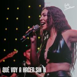 Cover of Qué Voy a Hacer Sin Ti