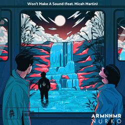 Cover of Won't Make A Sound