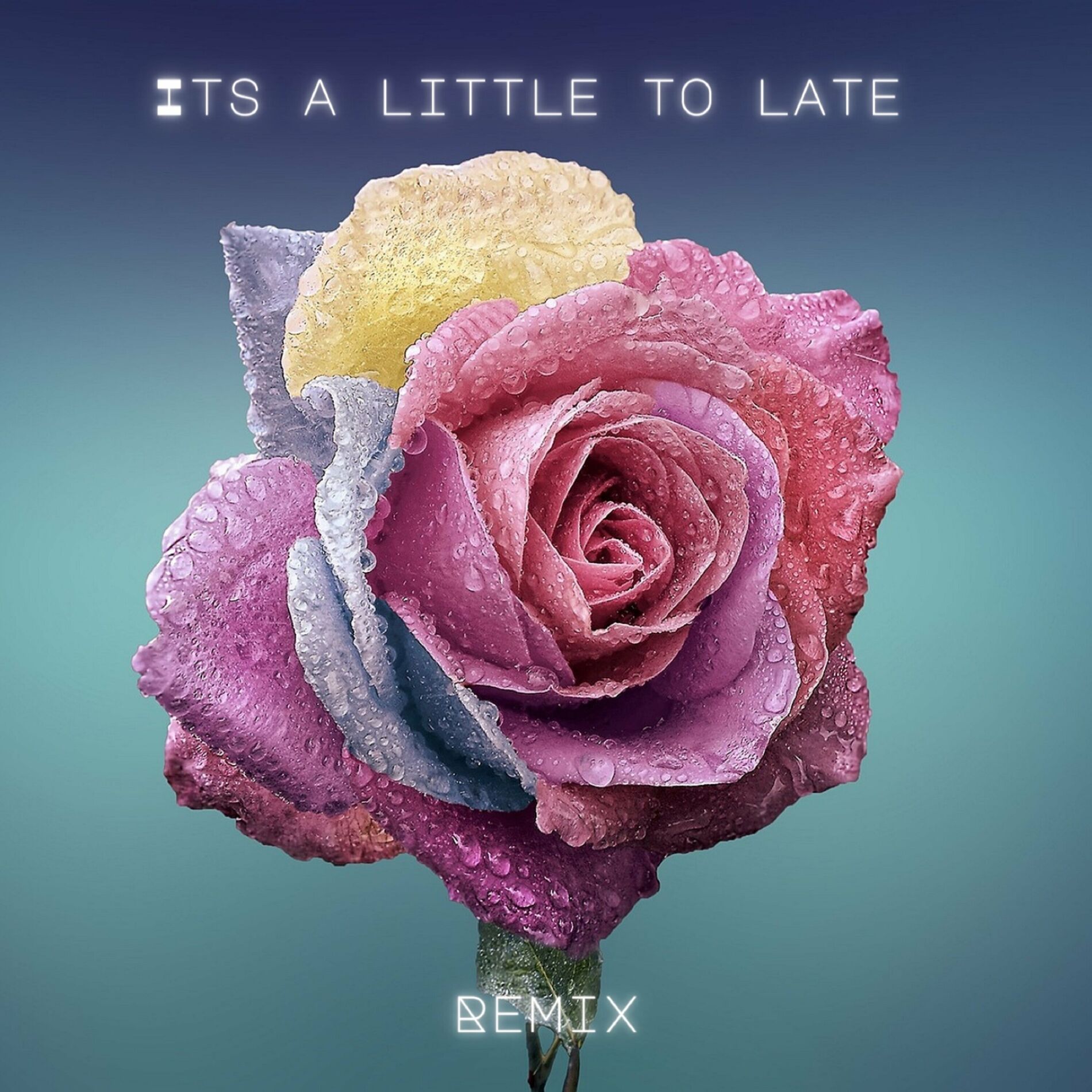 Album cover of Its a Little Too Late