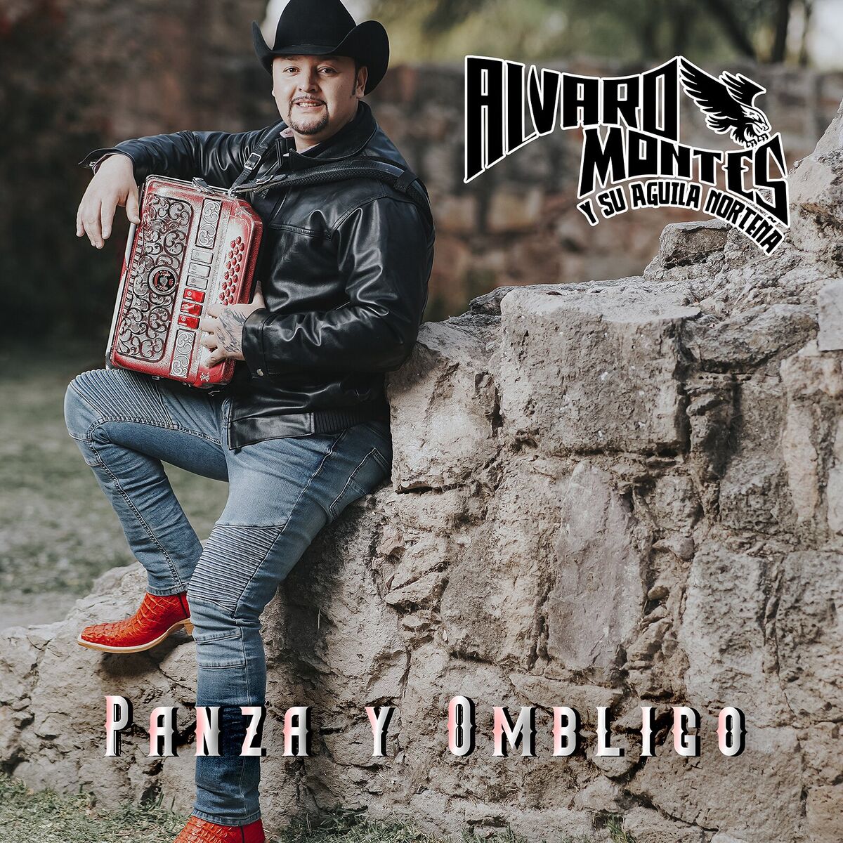 Album cover of Panza Y Ombligo