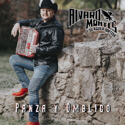 Cover of Panza Y Ombligo