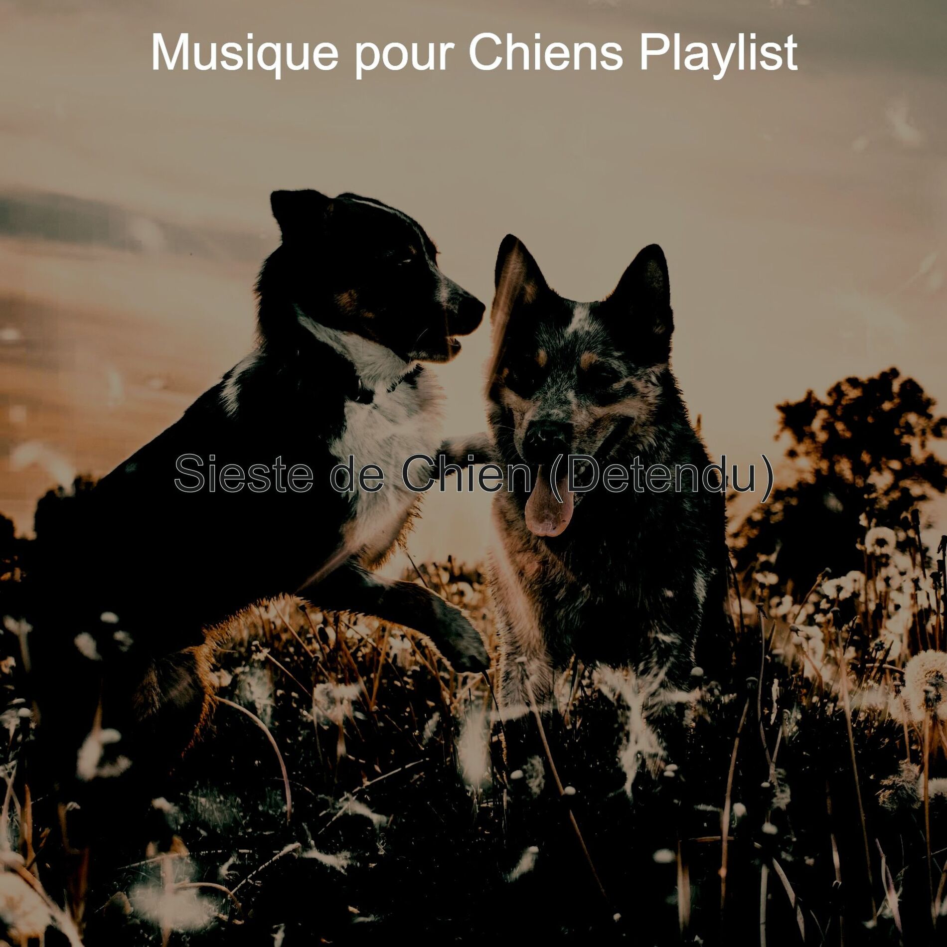 Album cover of Sieste de Chien (Detendu)