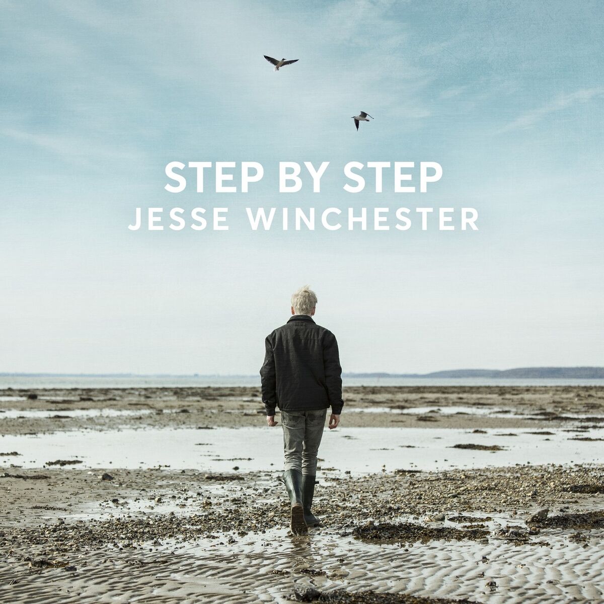 Album cover of Step By Step