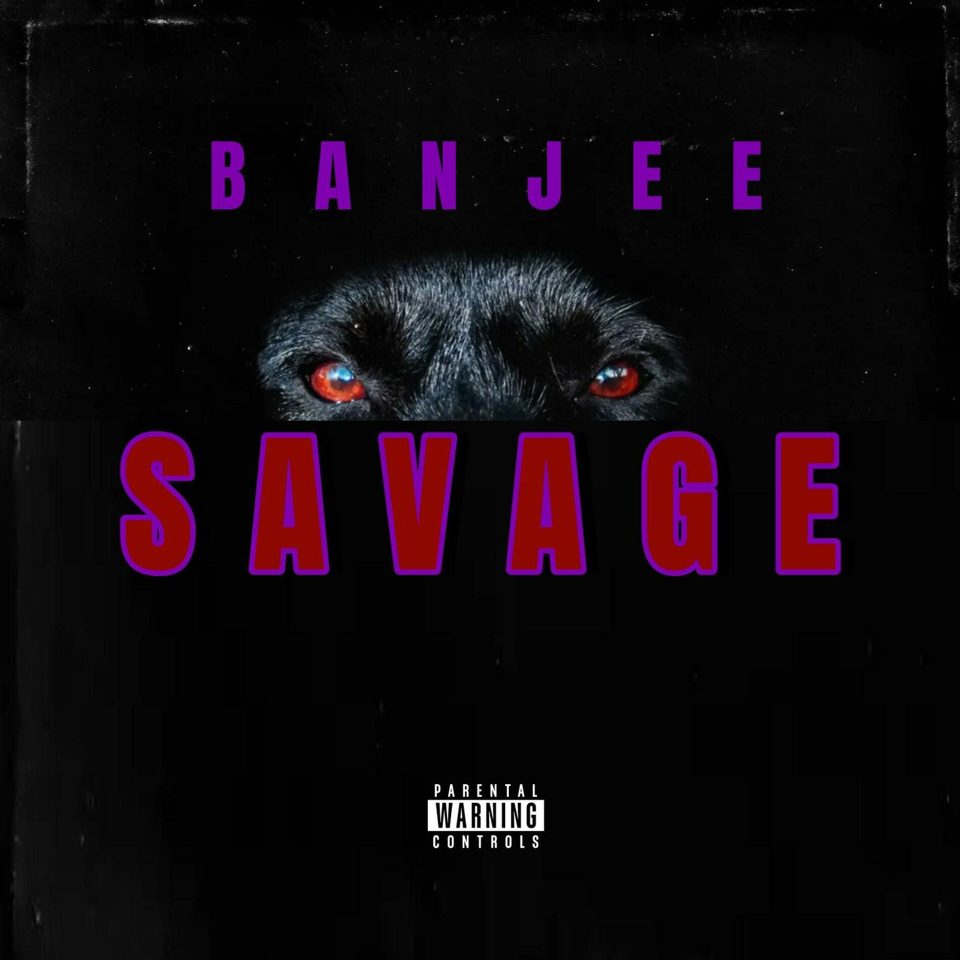 Album cover of Savage