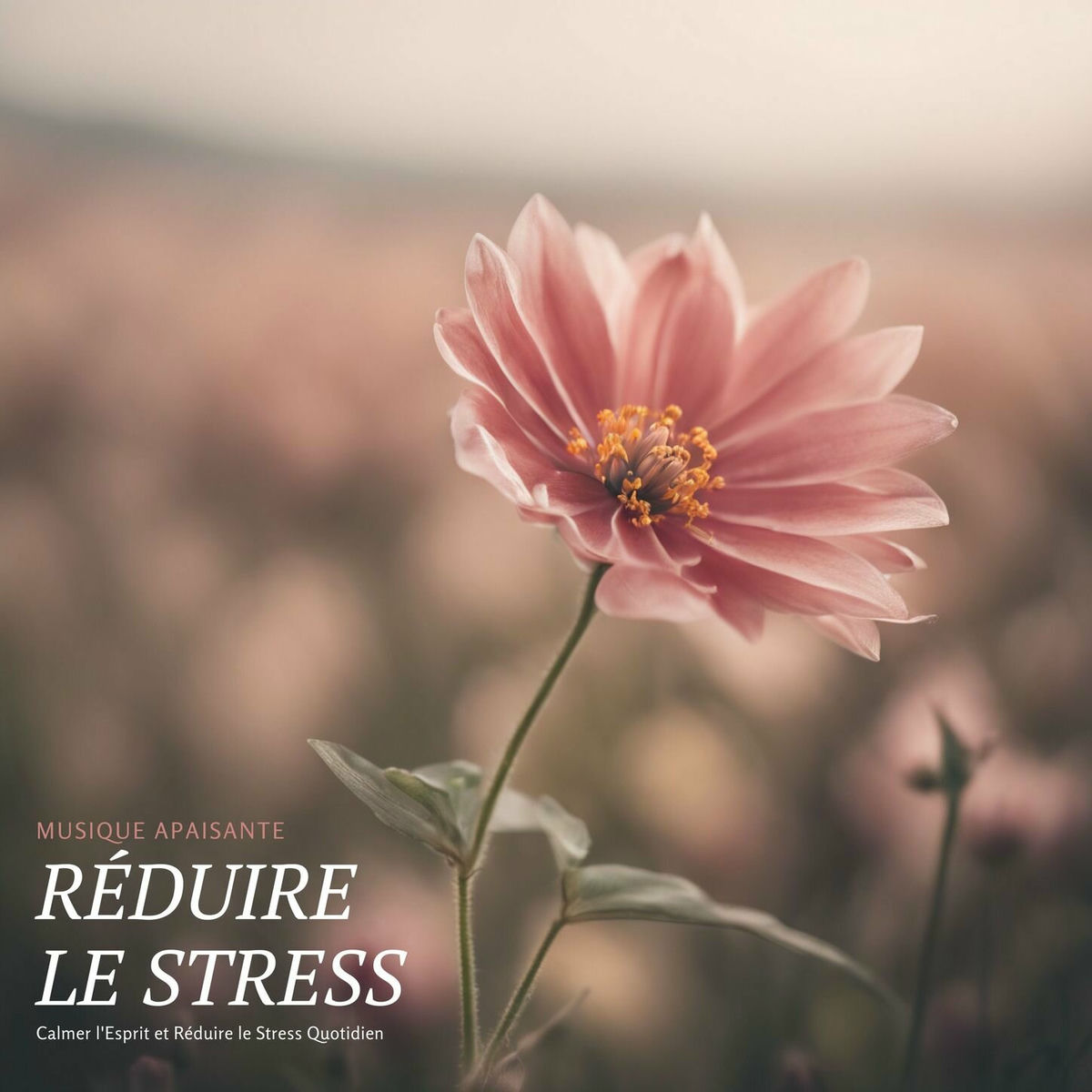 Album cover of Réduire le Stress: Musique Apaisante pour Calmer l'Esprit et Réduire le Stress Quotidien