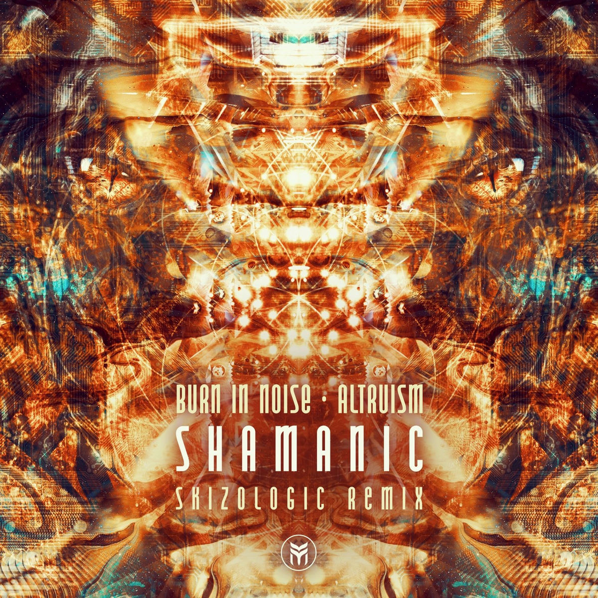 Album cover of Shamanic (Skizologic Remix)