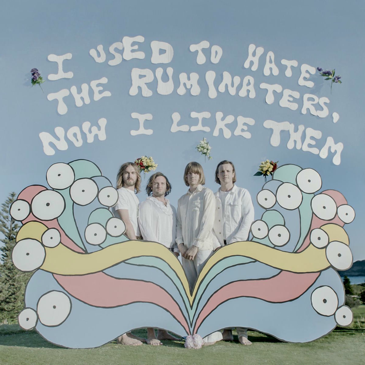 Album cover of I Used to Hate the Ruminaters, Now I Like Them