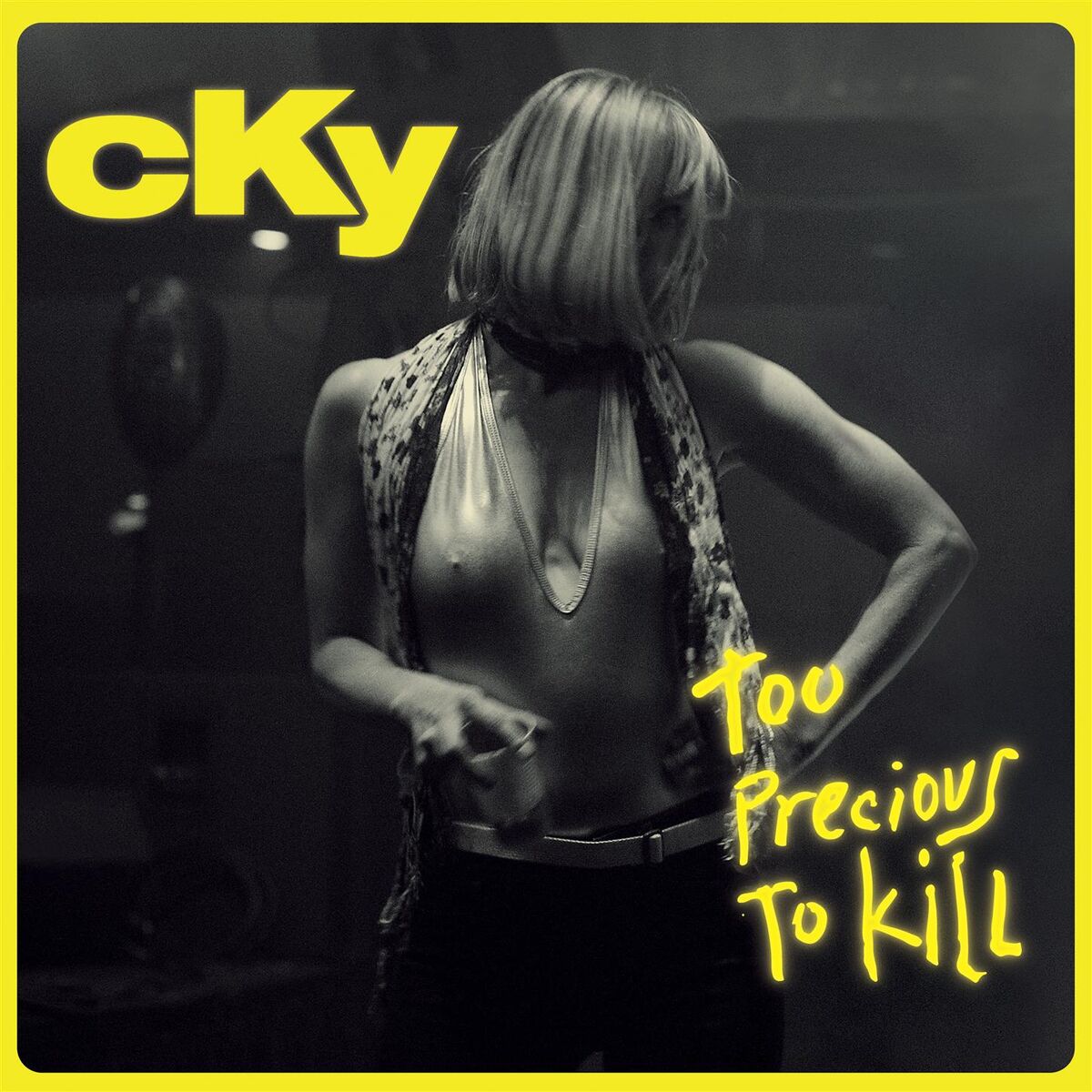 Album cover of Too Precious To Kill