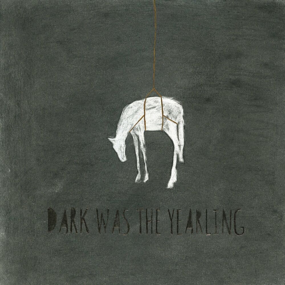 Picture of Dark Was the Yearling