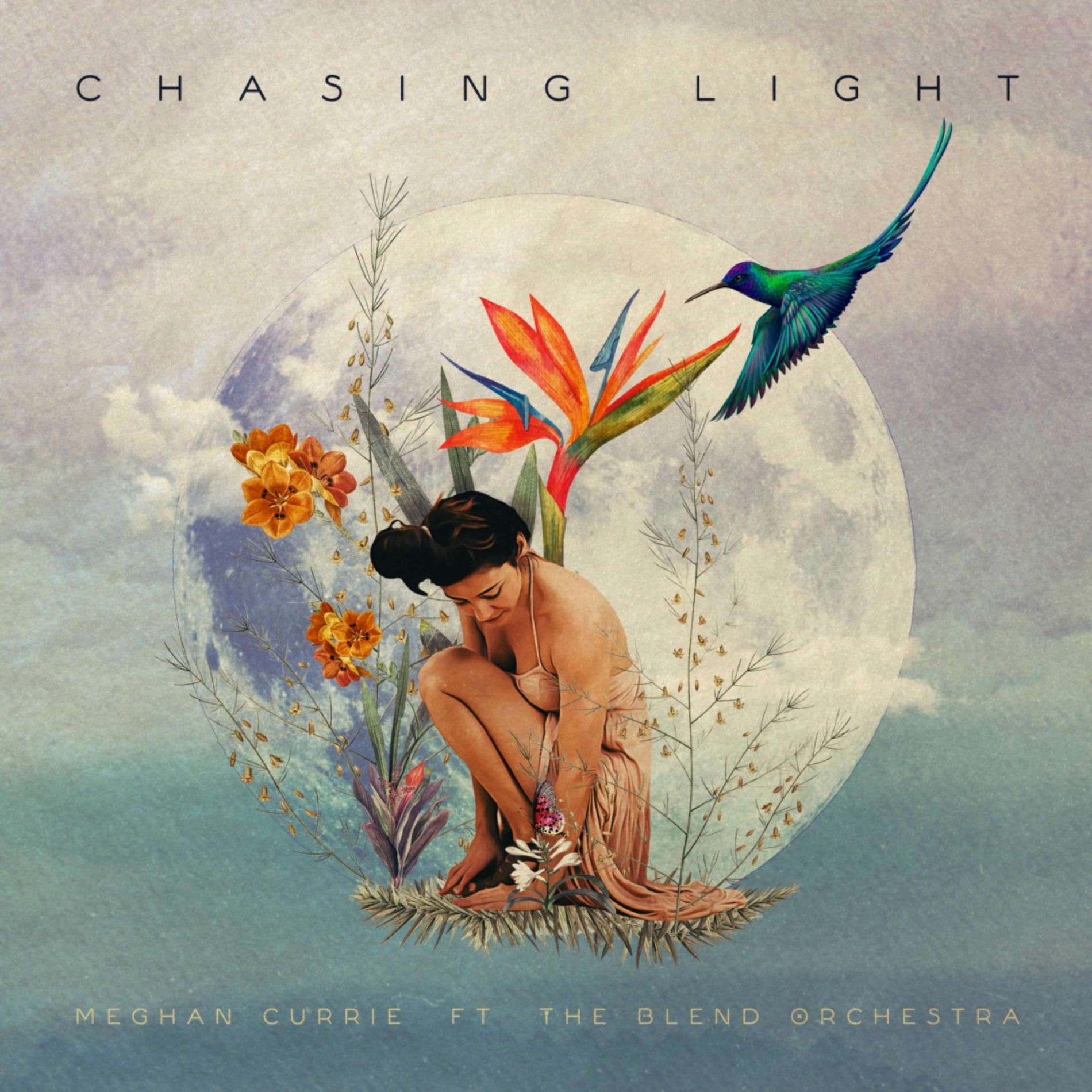 Album cover of Chasing Light
