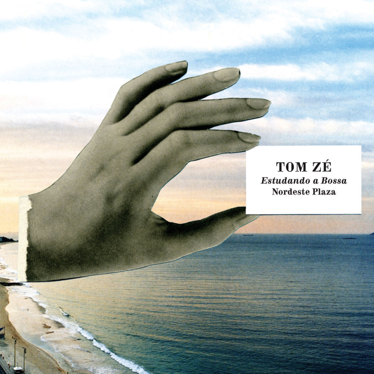 Album cover of Síncope Joãobim