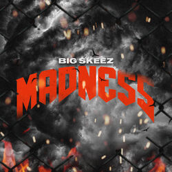 Cover of Madness
