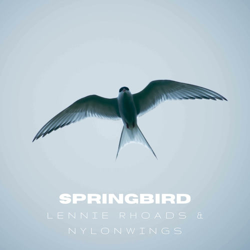 Springbird by Lennie Rhoads - 136 BPM
