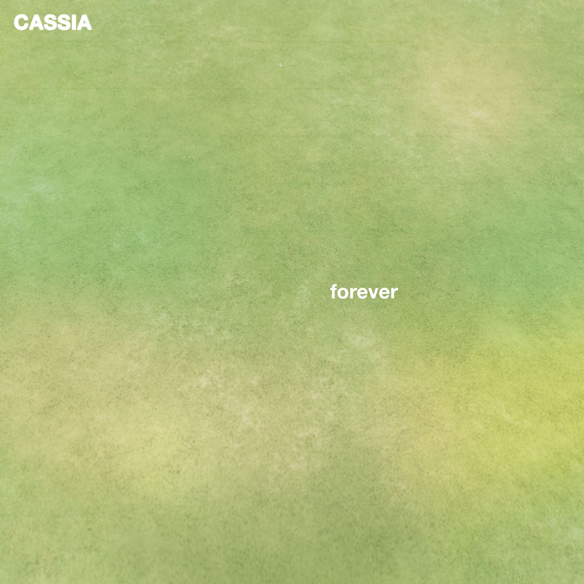 Album cover of forever