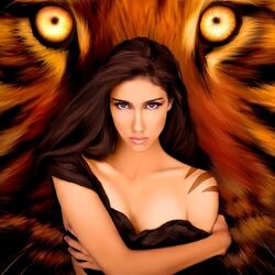 Cover of New Language