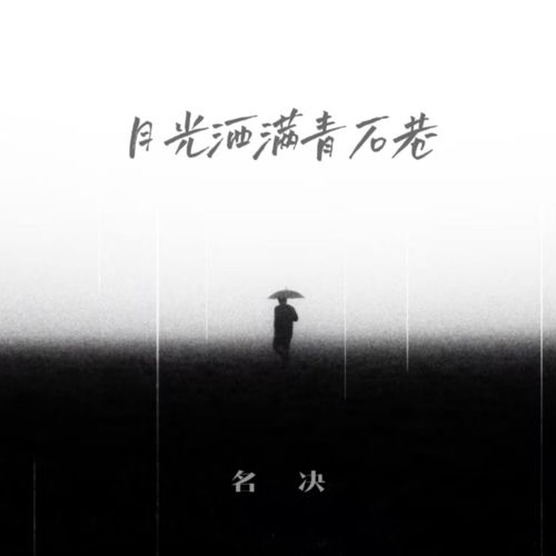 月光洒满青石巷