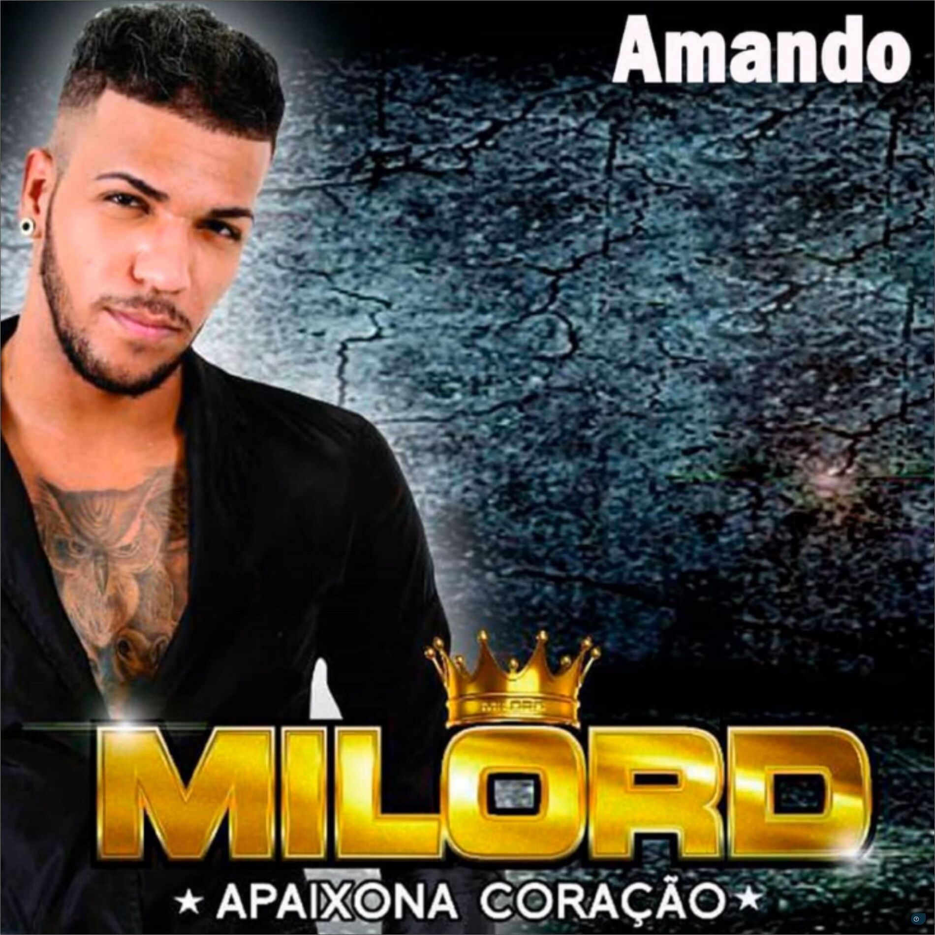 Album cover of Amando