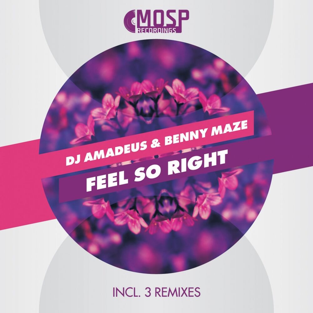 Picture of Feel So Right