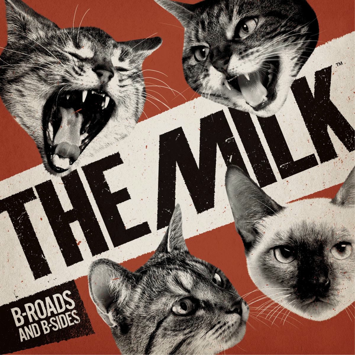 Album cover of B-Roads