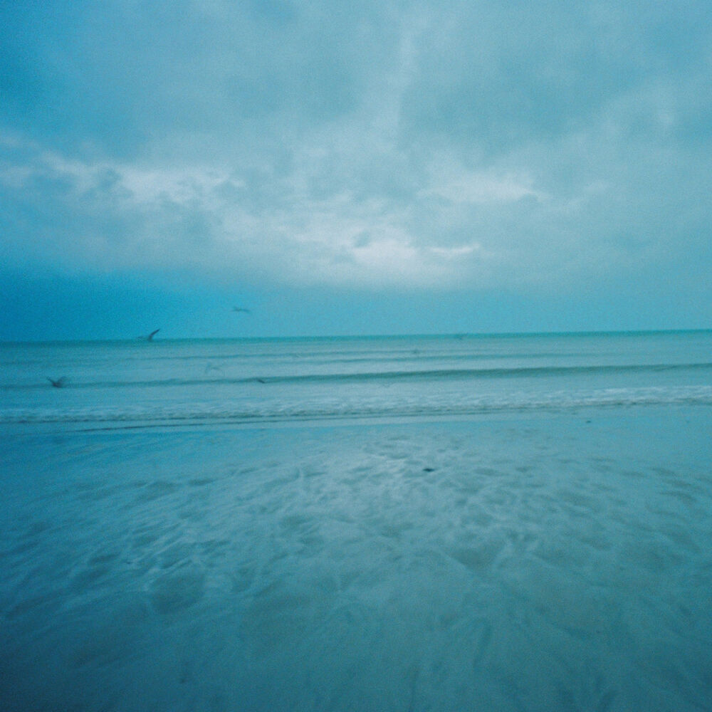 Picture of Le courage des oiseaux - Single