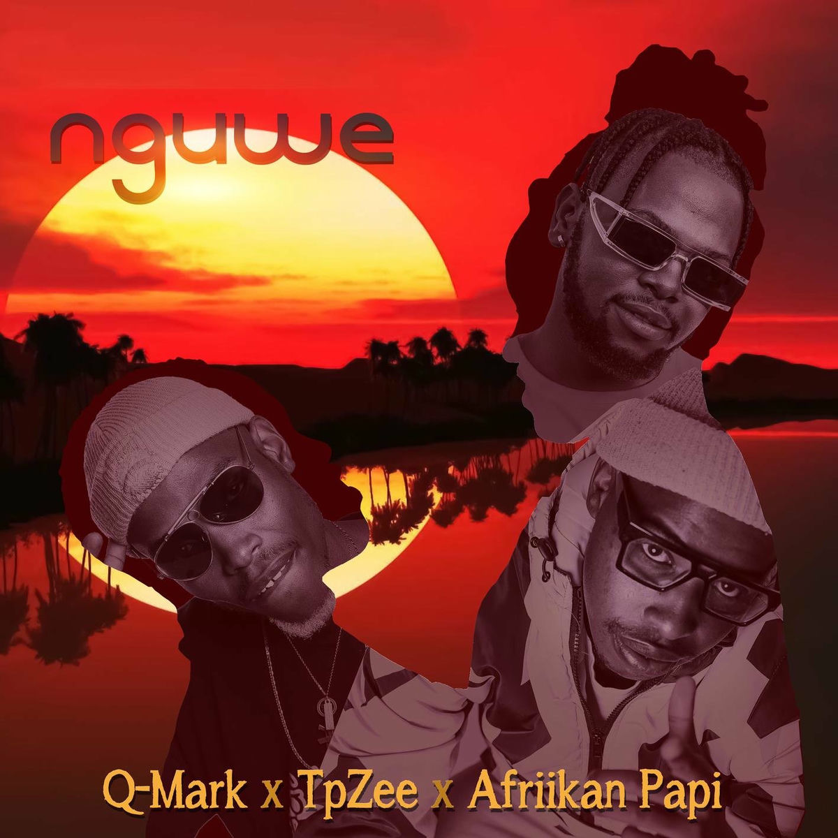 Album cover of Nguwe