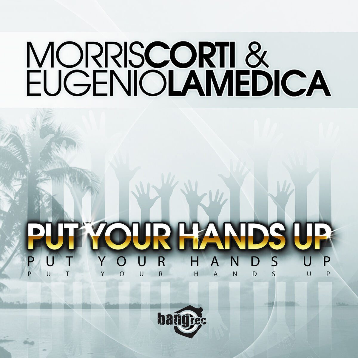 Album cover of Put Your Hands Up