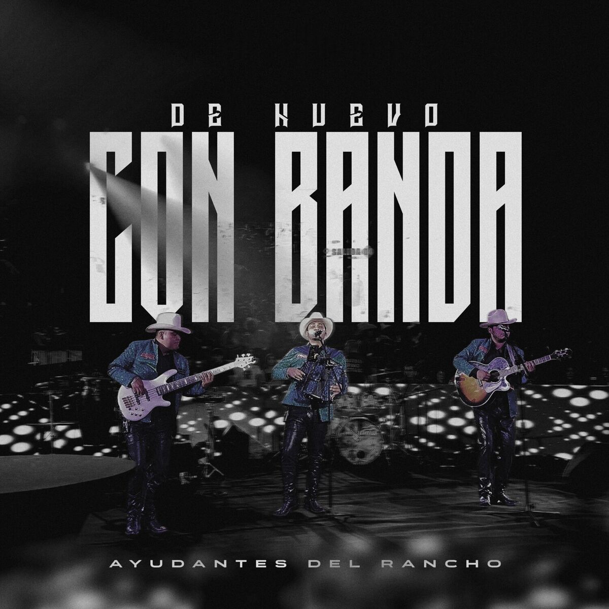 Album cover of De Nuevo Con Banda (En Vivo)
