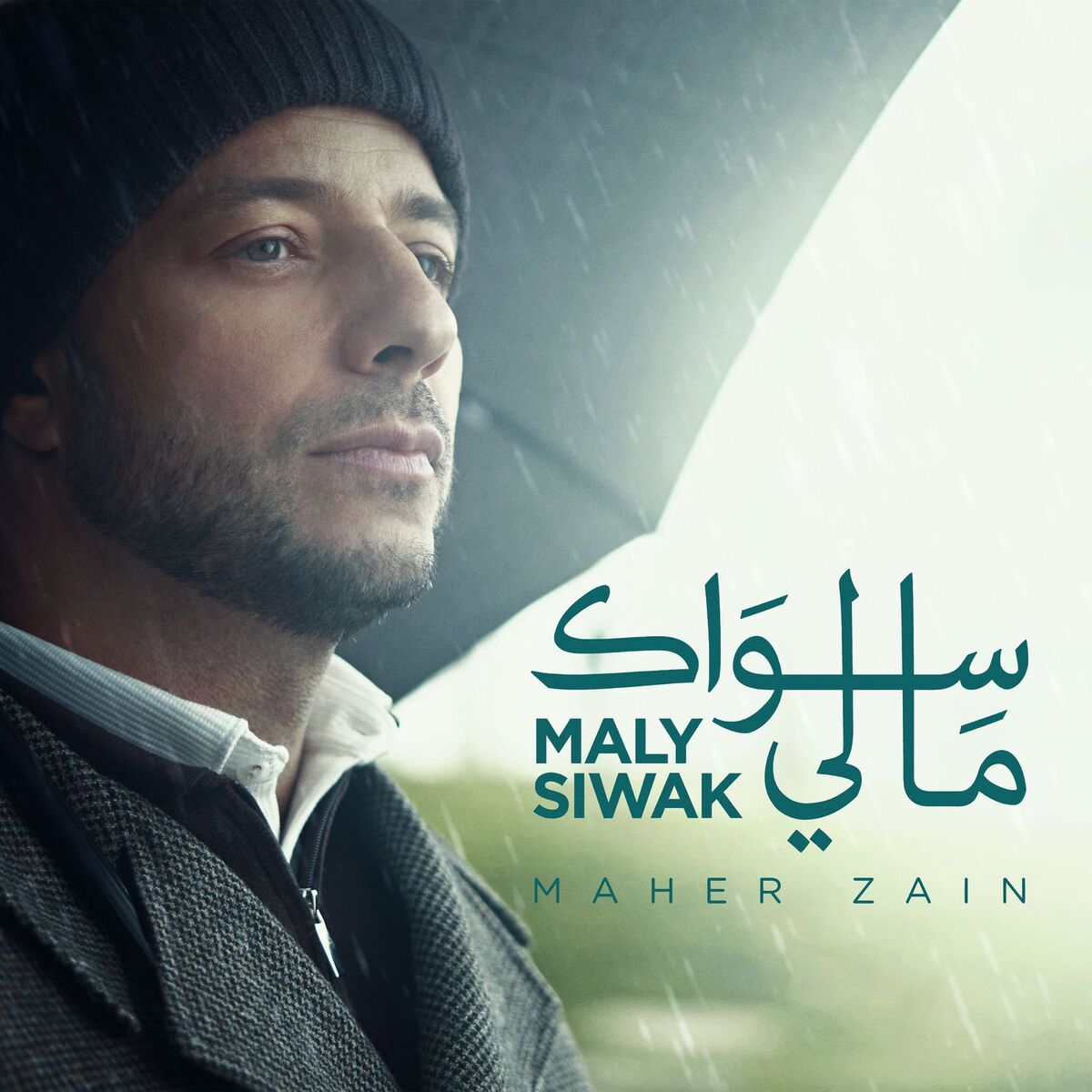 Album cover of Maly Siwak
