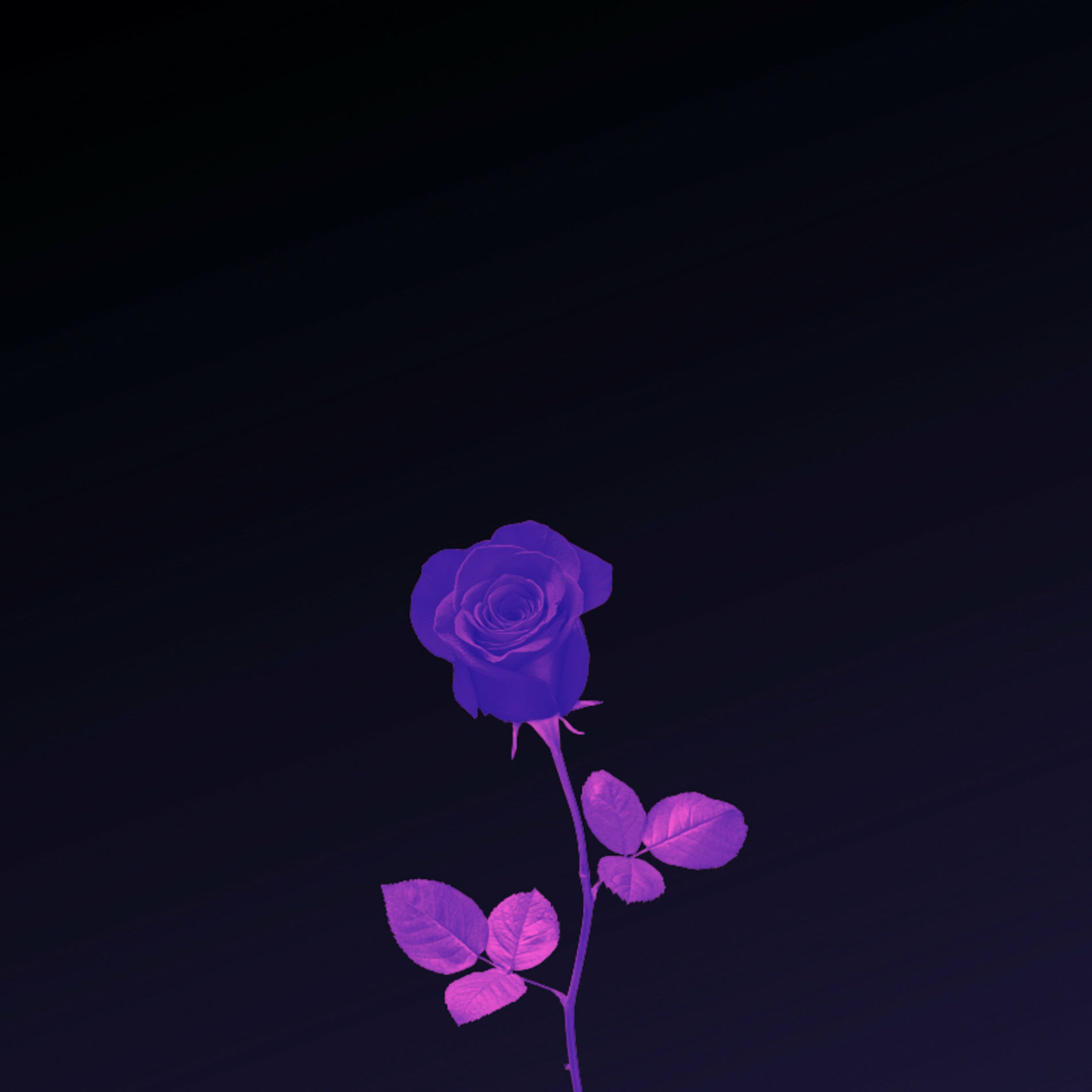 Album cover of Her