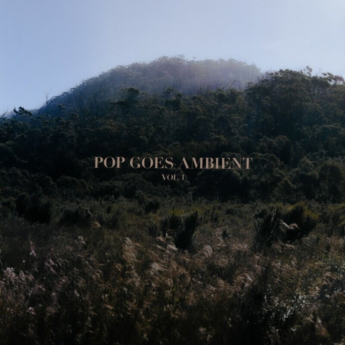 Album cover of Heat Waves
