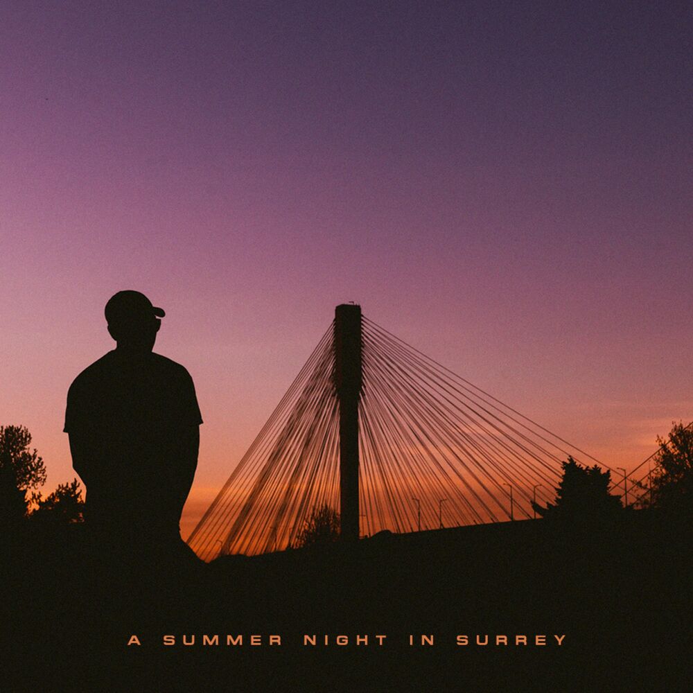 Picture of A Summer Night in Surrey