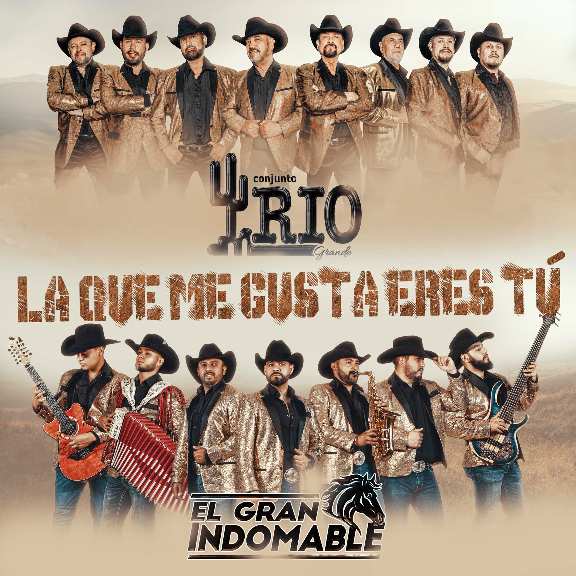 Album cover of La Que Me Gusta Eres Tu (feat. Conjunto Rio Grande)