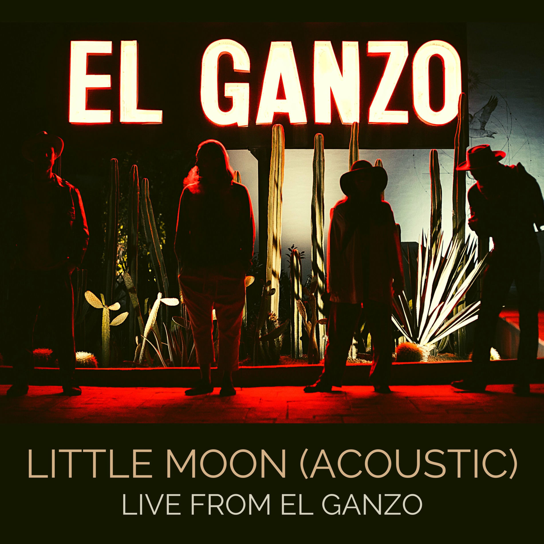 Album cover of Little Moon (Acoustic) [LIVE from Hotel El Ganzo]