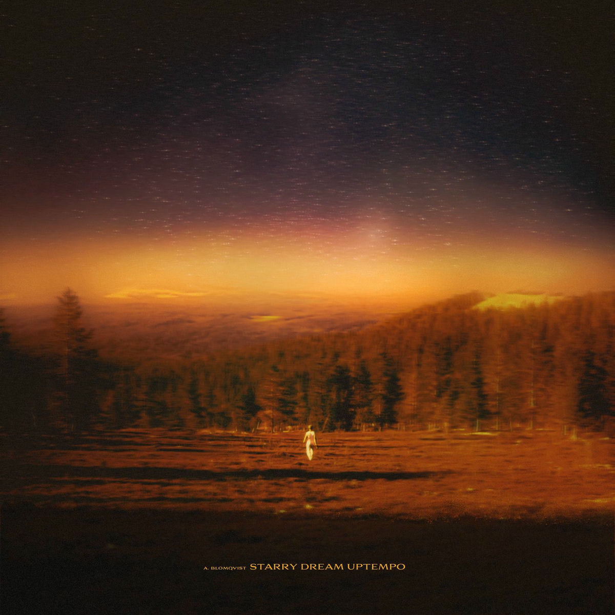 Album cover of Starry Dream (uptempo)