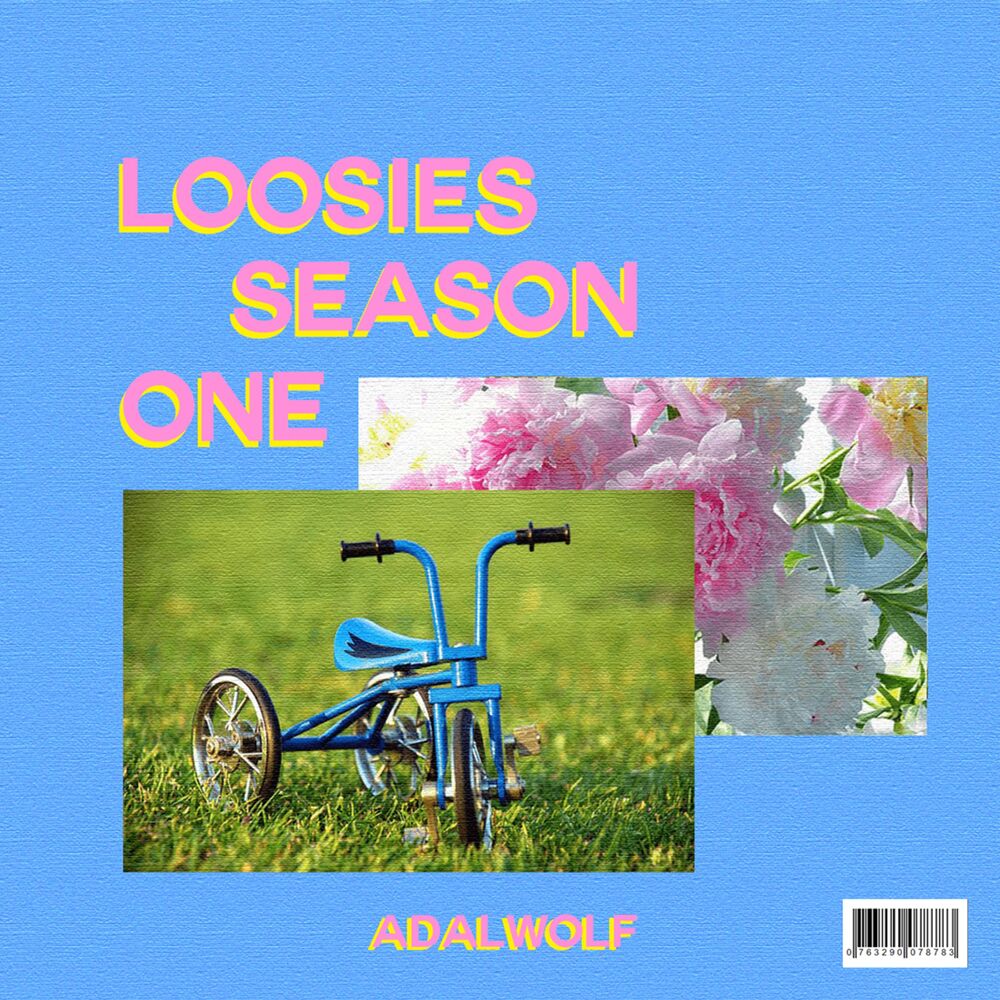 Picture of Loosies: Season I