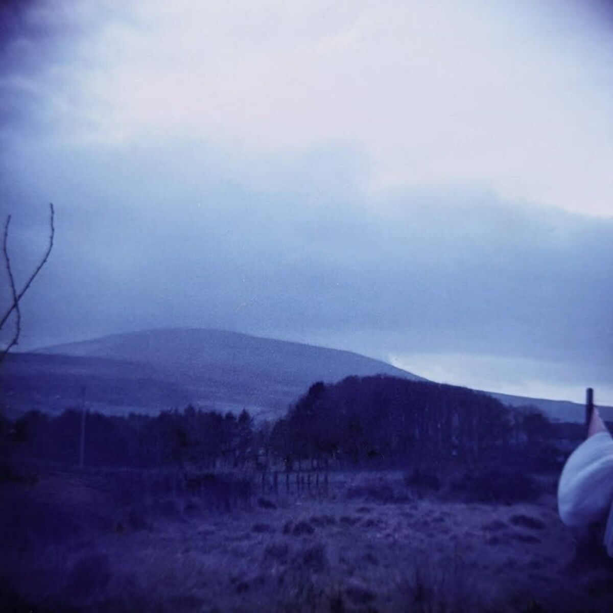 Album cover of The Optimist