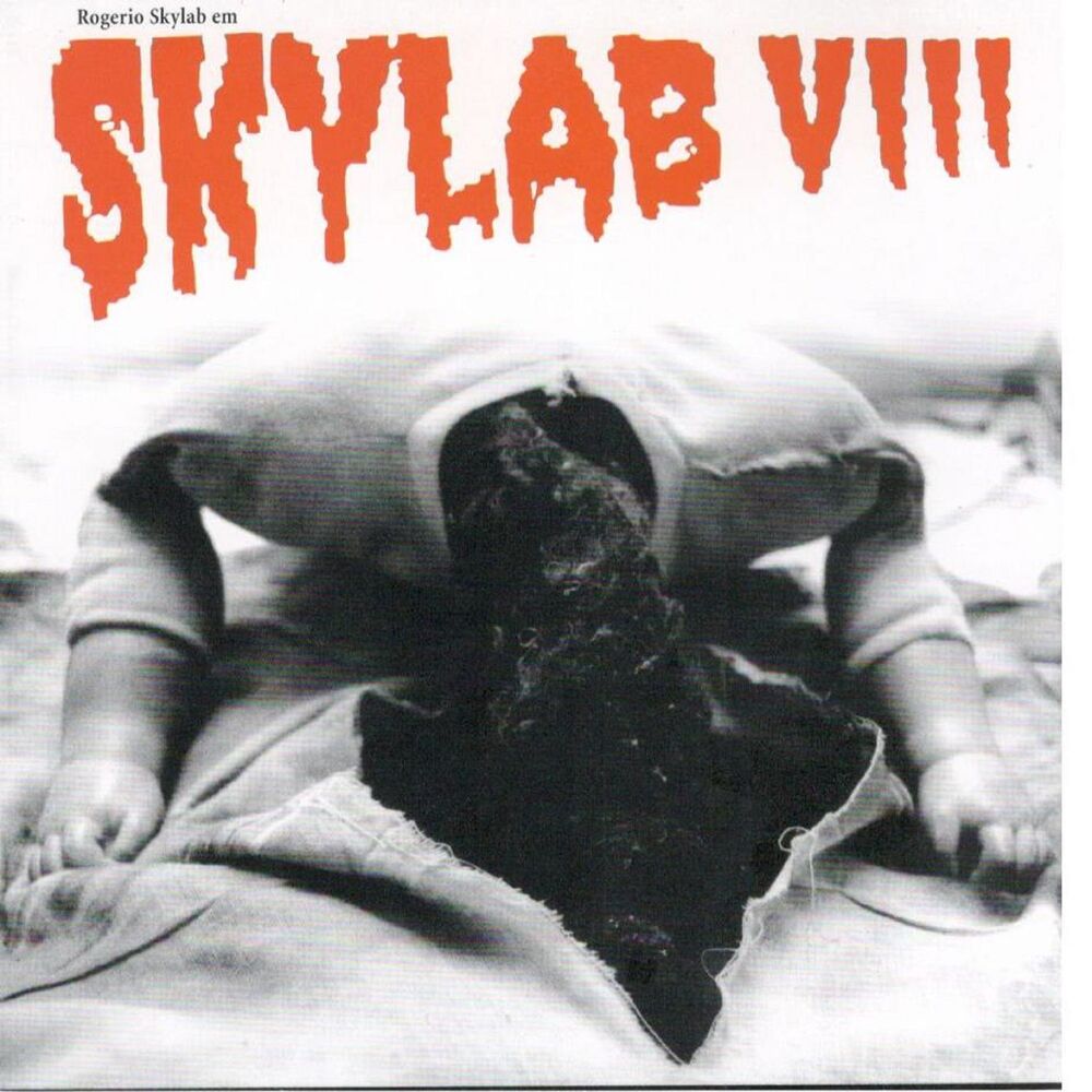 Picture of Skylab Viii