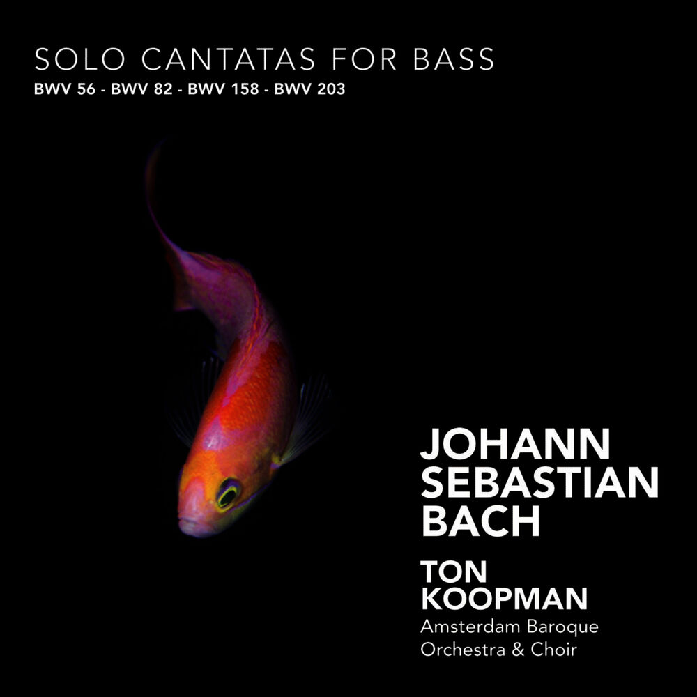 Picture of Bach: Solo Cantatas for Bass