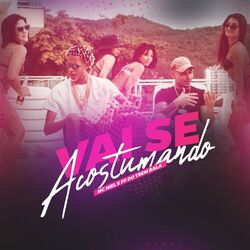 Cover of Vai Se Acostumando