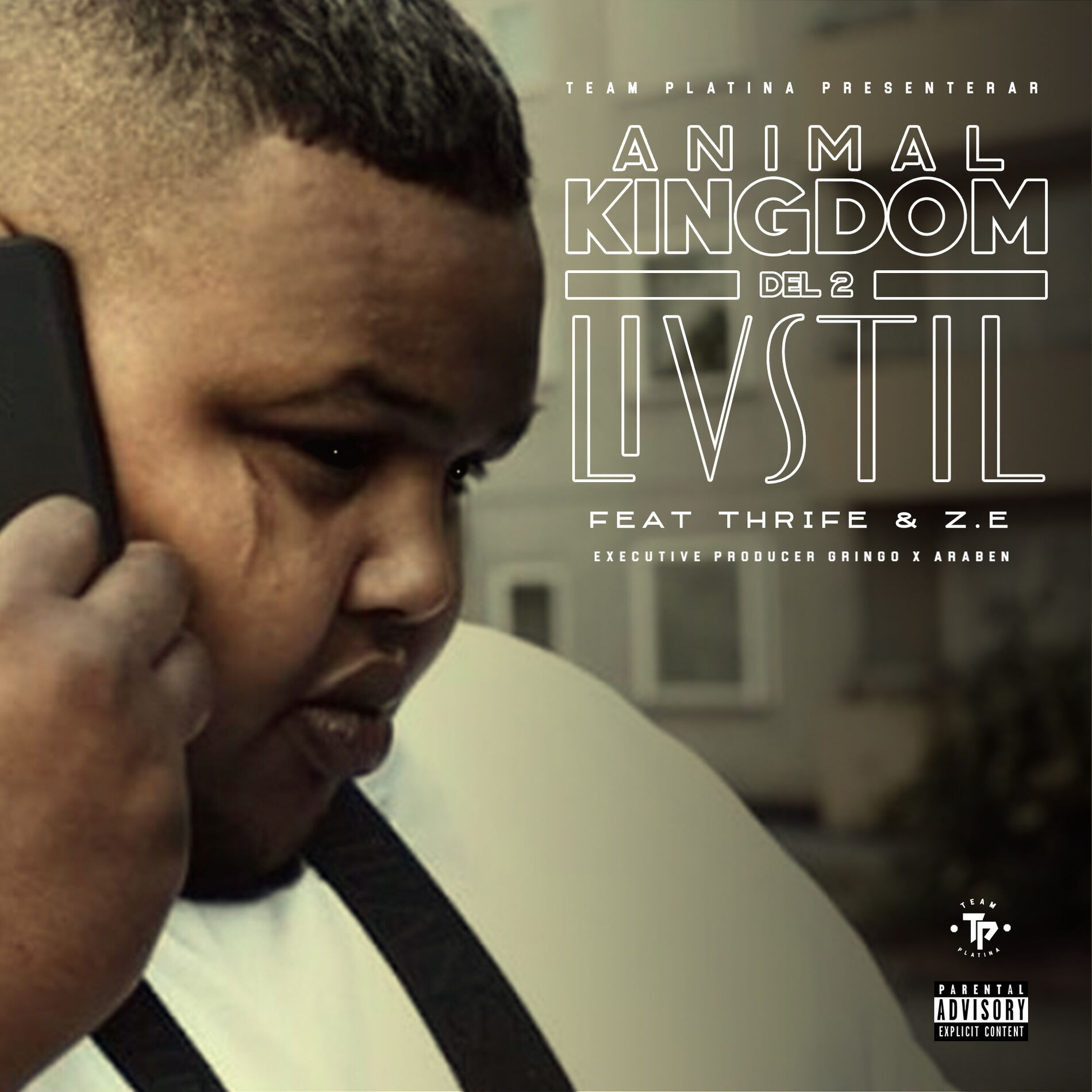 Album cover of Livsstil