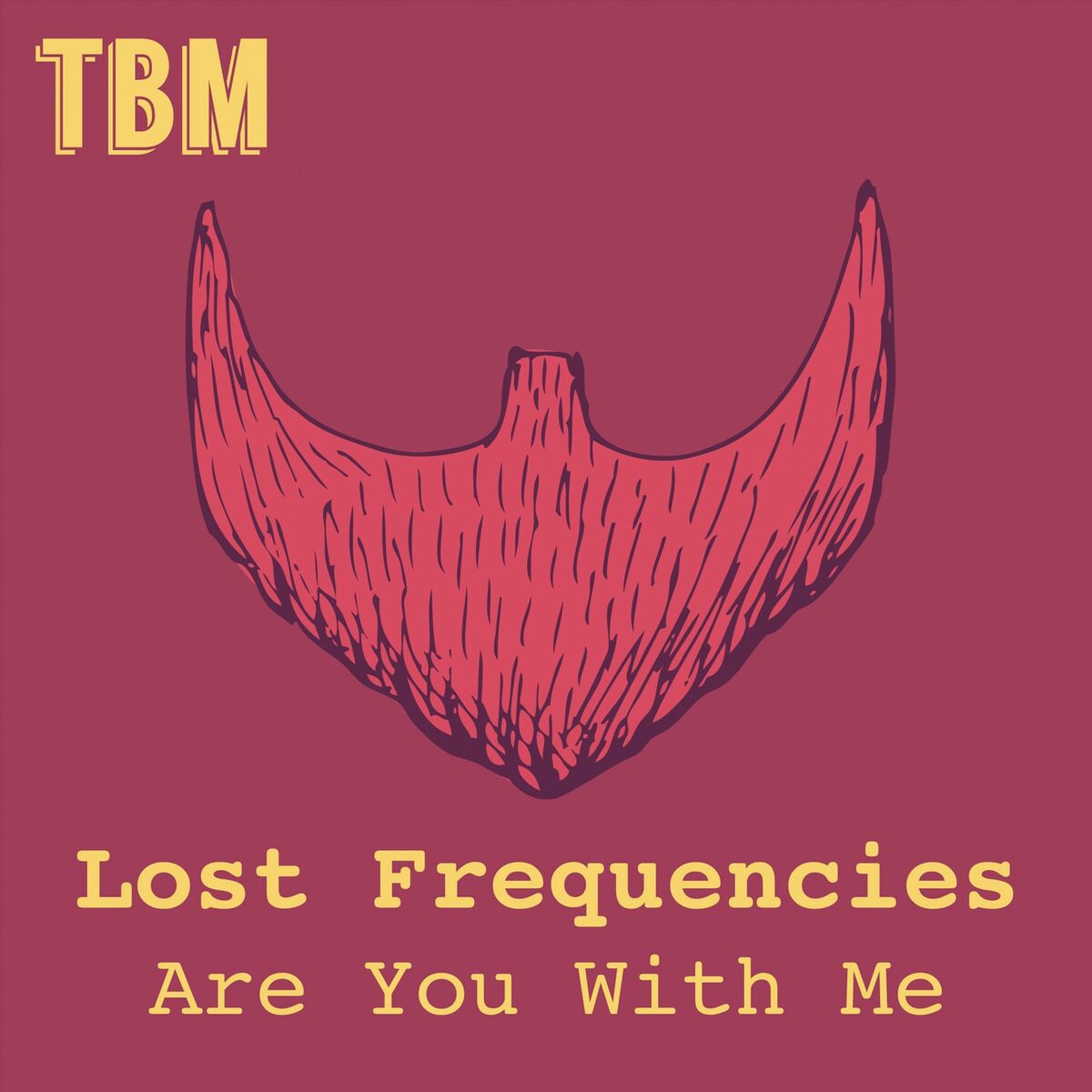 Album cover of Are You with Me