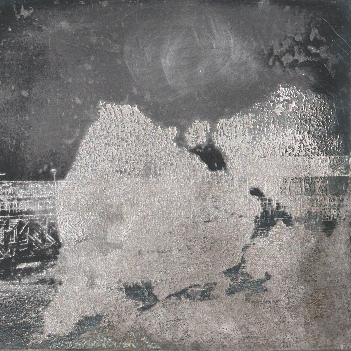 Album cover of Thankless / Husk