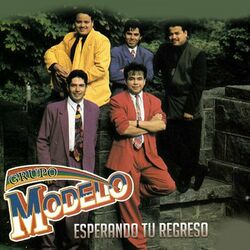 Cover of Esperando Tu Regreso