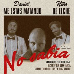 Cover of No Sabía