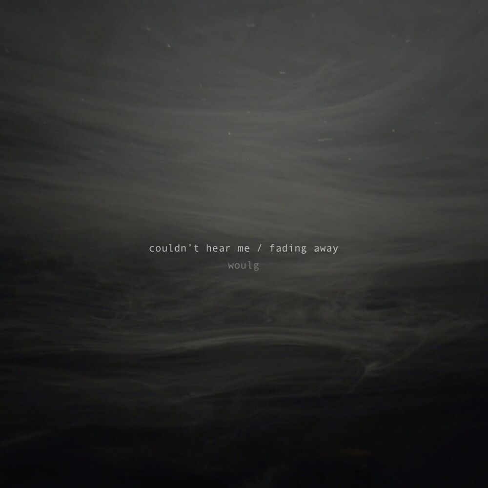 Picture of Couldn't Hear Me / Fading Away