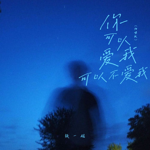 你可以爱我可以不爱我 (烟嗓版)