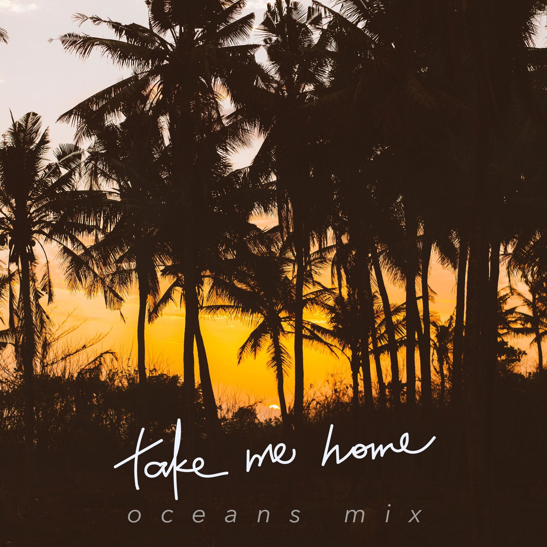 Album cover of Take Me Home