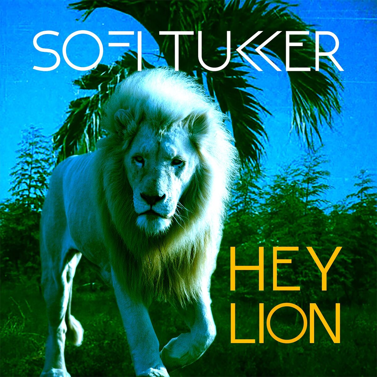 Album cover of Hey Lion